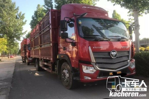 儲師傅的歐馬可