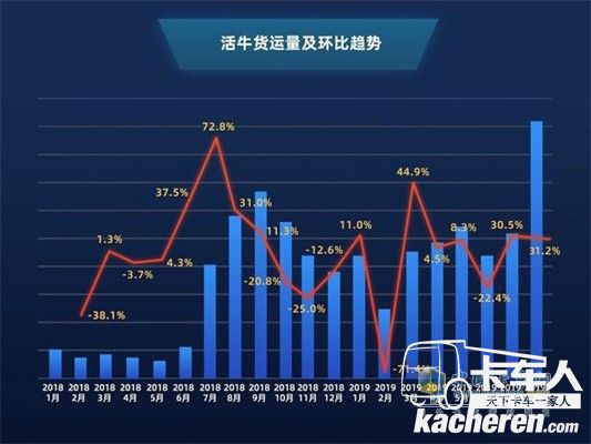 滿幫活牛貨運量及環比趨勢