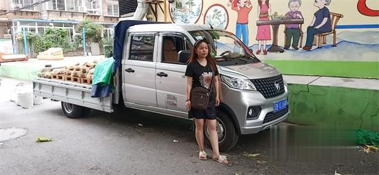 福田祥菱  V3載貨車