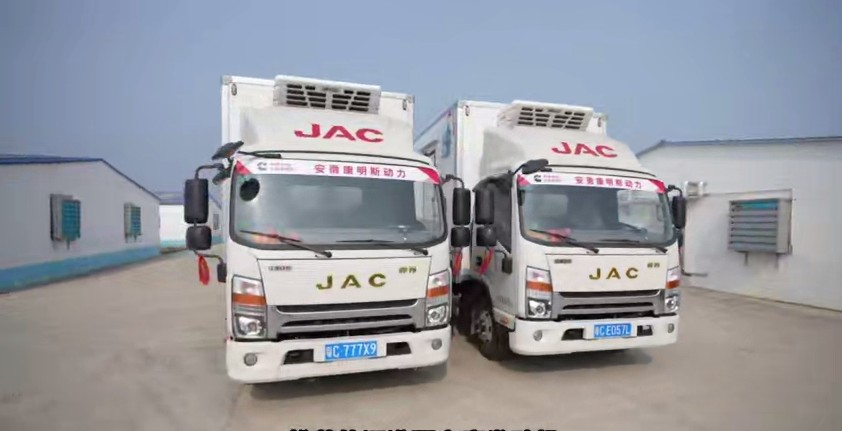 鮮活蝦苗運輸 廣東林威的錦囊妙計是“帥鈴冰博士”!