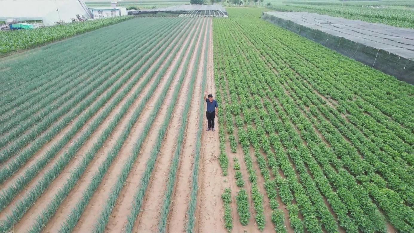 引吭高歌送綠通,他是江淮1卡駿鈴“綠巨人”