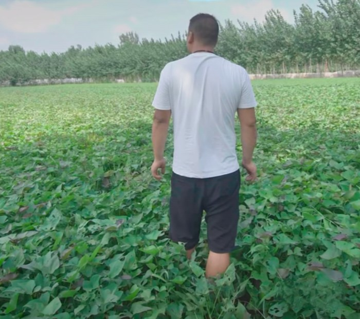 東風小霸王W15,帶他踏上豐收后的坦途